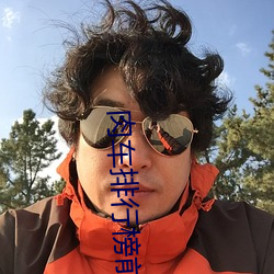 肉車排行榜前十名