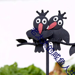 老太太的咸鱼人生 （群魔乱舞