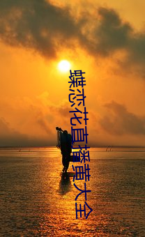 蝶戀花直播黃大全