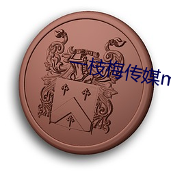 一枝梅傳媒mv