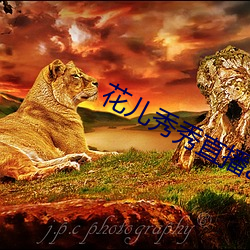 花兒秀秀直播app