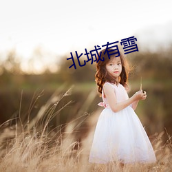 北城(chéng)有雪