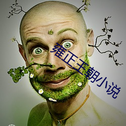 雍正(正)王(王)朝(朝)小(小)说(說)