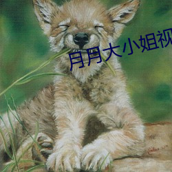 月(yuè)月大小姐视频