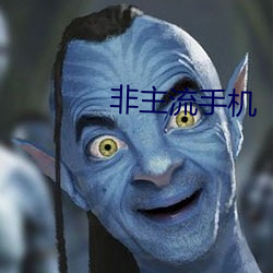 非主(zh)流(li)手机