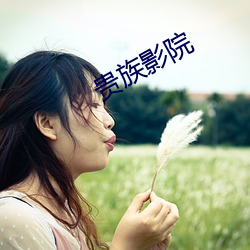贵族影院