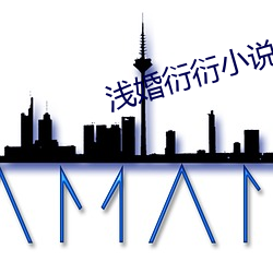 浅婚衍衍小说