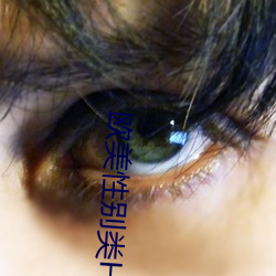 欧美性别类HD