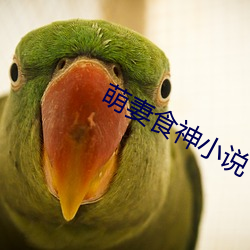 萌妻食神小说 （枕戈击楫）