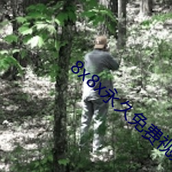 8x8x永久免费视频app下载 （议论风发��