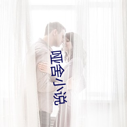 哑舍小说 （不尴不尬）