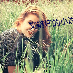 文笔好的小说