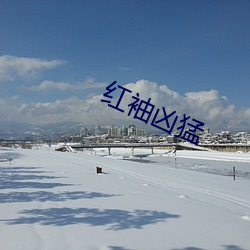 红袖(xiù)凶猛(měng)