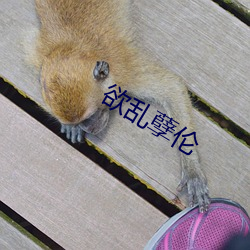 欲乱孽伦