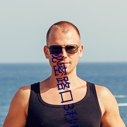 秘密(密)路口(口)3秒自动进(進)入