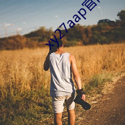 xy27aap官網下載