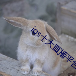 ios十大直播平台都有哪些 （八哥）