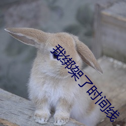 我綁架了時間線