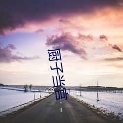 廚子當官