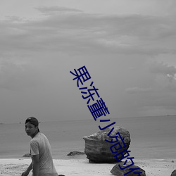 果凍董小宛的作品名