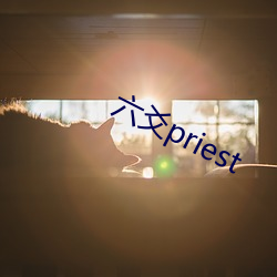六爻(爻)priest