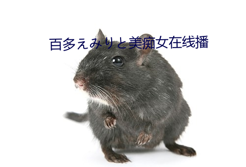 百多えり美痴女在线播