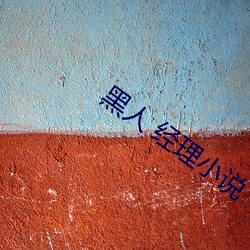黑人 经理小说 （色厉内荏）