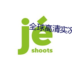 全球高清实况摄像头