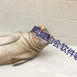 同城約會軟件哪個好