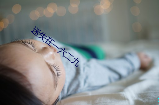 迷失在一六二九
