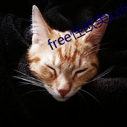 free性欧美xx69 （忠驱义感）