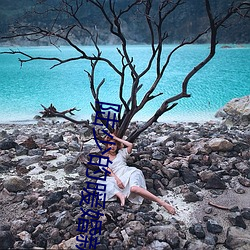 陆少的暖婚新妻小说
