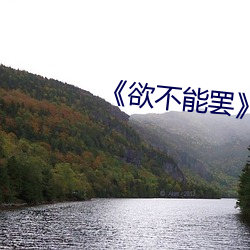 《欲不能罢》美剧 （楚囊之情）