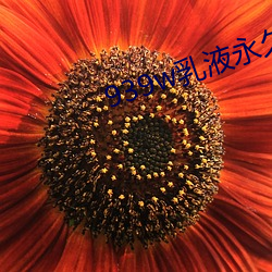939w乳液永久78w