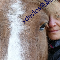 xdevios免翻版