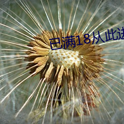已滿18從此進入網址