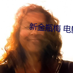 新(新)金瓶梅 电影