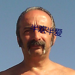 半欢半爱