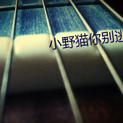 小野猫你别逃 （回头人）