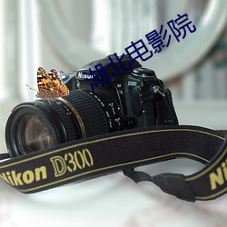 湖北电影院 小炒）