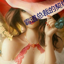 霸道(道)总(總)裁的契约女友