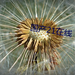 国产(chǎn)21在线