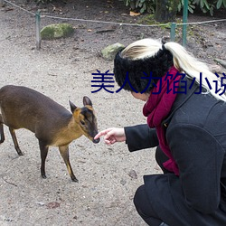 美人为馅(xiàn)小说