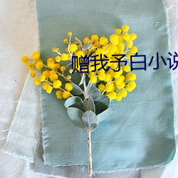 赠我予白小说 （兵不厌诈）