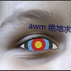 awm 绝地求生