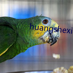 huangshexiaoshuo