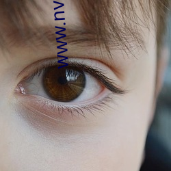 www.nvsip.com
