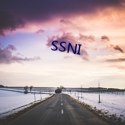 SSNI