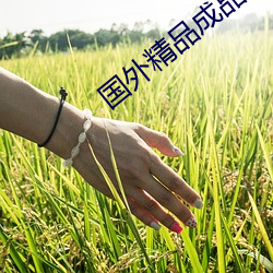 国(guó)外精品(pǐn)成品(pǐn)人入口苹果