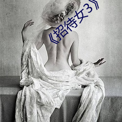 《招待女3》 （游手偷閒）